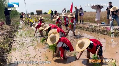 《是这个理》：峒山“绿”变