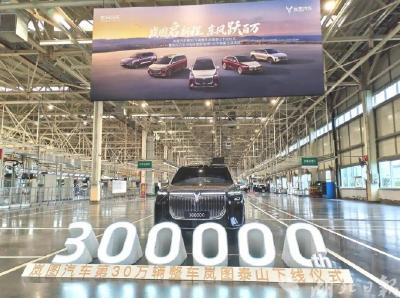 湖北造！央国企首个！