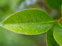 小城限定！云梦雨后的清新瞬间