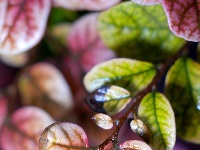 小城限定！云梦雨后的清新瞬间