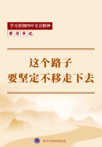 学习手记｜这个路子要坚定不移走下去