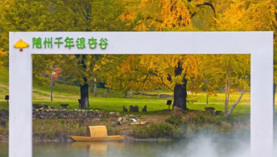 文旅融合绽新颜 | 千年银杏谷激活旅游发展新动能