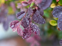 小城限定！云梦雨后的清新瞬间