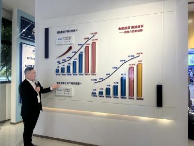 孝感市孝南区：纸卫品产业集群强势崛起 铸就“中华纸都”高质量发展新引擎