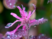 小城限定！云梦雨后的清新瞬间