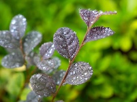 小城限定！云梦雨后的清新瞬间