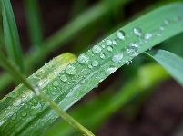 小城限定！云梦雨后的清新瞬间