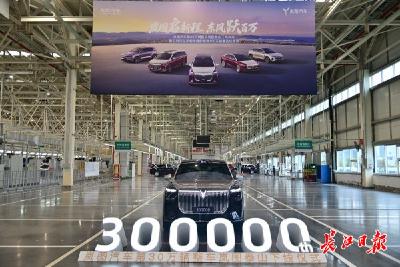 从“30万辆神龙”到“30万辆岚图”