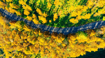 【回眸“十四五”】建始：“十四五”金融活水浇灌出的新生态