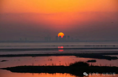 一枚沙湖咸蛋的“进阶”自白！