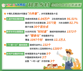 回眸“十四五”·前行中的十堰②
一村蝶变 千村和美