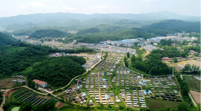 “山间珍味”变身“全球俏货”！随县“富民菇”藏着怎样的振兴密码？