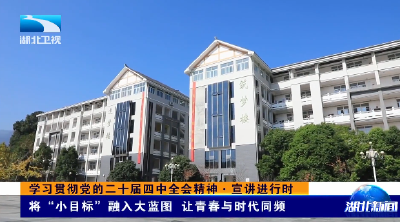 学习贯彻党的二十届四中全会精神·宣讲进行时丨将“小目标”融入大蓝图 让青春与时代同频