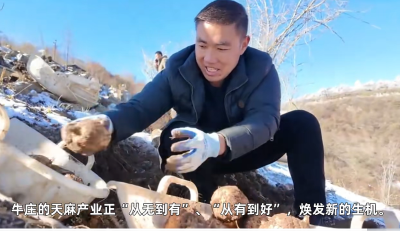 赤箭花开满山红