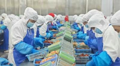 “红”动天下——“潜江龙虾”产业的全球化突围征程