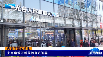 向高而攀的湖北 | 支点建设开新局的奋进答卷