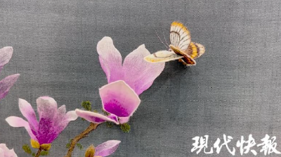 改革者 正青春｜姑苏绣郎如何把刺绣变成3D动画？