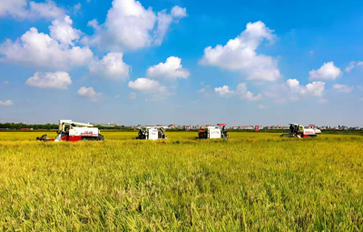 湖北省农业农村厅厅长张桂华：推动农业基础更加稳固 农村地区更加繁荣 农民生活更加红火