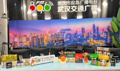 十四五收官谱新篇 云端援藏点燃雪域新引擎