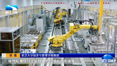 从一个“韧”字看湖北2025年经济发展