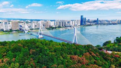 “三大件”与“三大变”——看新“宜昌造”如何筑牢工业高质量发展之基