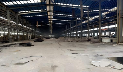 长了8年杂草的478亩土地 长出一条绿色循环产业链