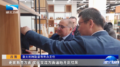 走一线 看支点 | 活力湖北联通世界 开放高地加速形成