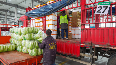 聚流成川，千亿枢纽下的集配“共生”新范式