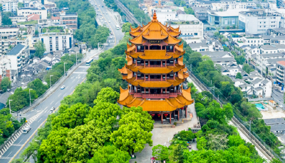 “数”说湖北！这份答卷超亮眼