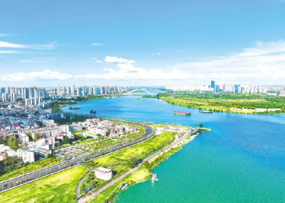 天生网感！襄阳，登顶热搜