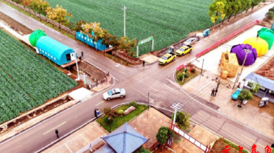 牢记嘱托 感恩奋进｜路通村美气象新——嘉鱼：沃野“蔬”写共富经