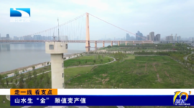 走一线 看支点 | 山水生“金” 颜值变产值