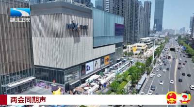 两会同期声 | “情绪价值”首次写入湖北省政府工作报告