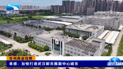 市州两会观察 | 孝感：加快打造武汉都市圈副中心城市 