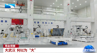 两会观察｜大武汉 何以为“大”