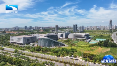 湖北“51020”先进制造业产业集群的崛起密码 | 从“一域之光”迈向“国际引领”  湖北万亿光电大道成型