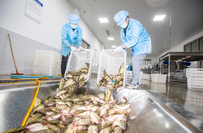 1+1+1>3！解码“黄石三鲜”的品牌崛起之路