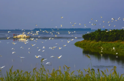 十年，宜昌答卷！