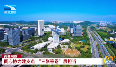 两会观察 | 同心协力建支点 “三张答卷”展担当