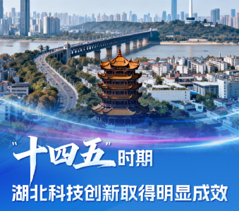 向高而攀！湖北全力打造这“四个高地”