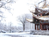 雪落云梦，一城诗意入画来