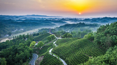 两座山，一条路！“闵黑子”的二十年“共富”笔记