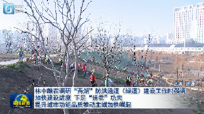 林中麟在调研“两湖”防洪通道（绿道）建设工作时强调 加快建设进度 下足“绣花”功夫 提升城市功能品质推动主城加快崛起