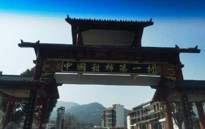 柿红羊欢牧歌扬——“中国甜柿第一村”奏响“双向奔赴曲”