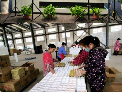 新春走基层 | 让土鸡蛋“飞”出大山，襄阳这个直播间“播”出好年景