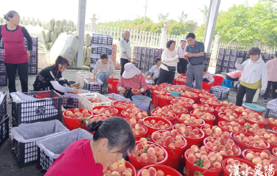 襄阳这两份“民生账单”，藏着最朴实的幸福