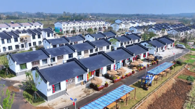 红本本到手！安陆这个村47户村民吃下“定心丸”