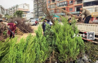 一天能卖大几万，外地客商来采购！这里的“春日经济”别样红→