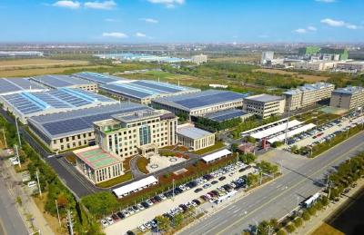 新春在岗，给机器人造一颗“中国关节”