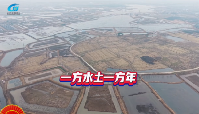 水里淘金，藕上年味，汉川莲藕挣出34个亿